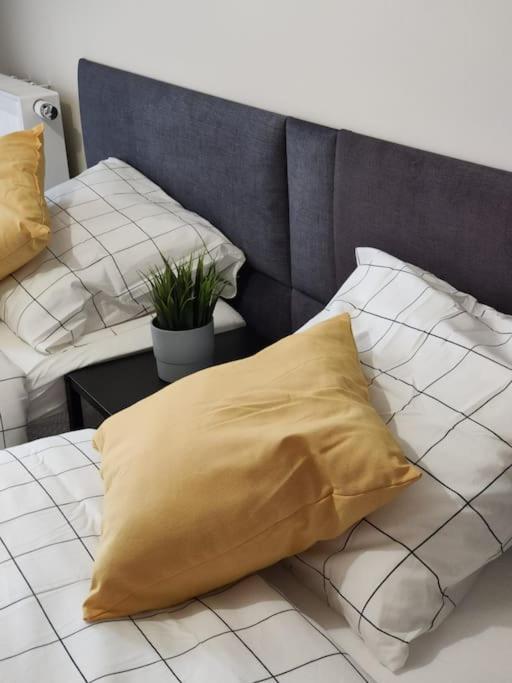 Piekny Apartament 3-Pokojowy Катовице Экстерьер фото